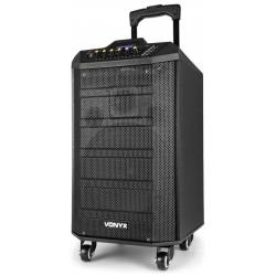 Kolumna mobilna z mikrofonem, 250W, VONYX, VPS10